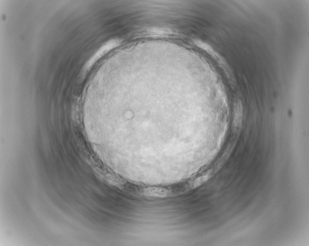 X0000085301314200704092247