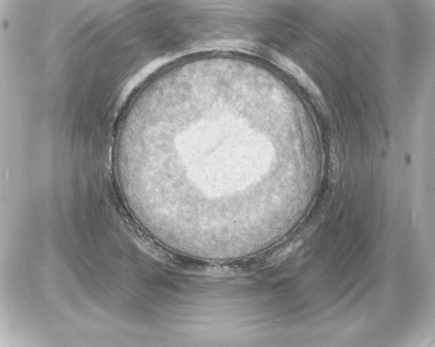 X0000085301316200704092247