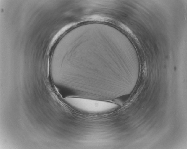 X0000085301323200704092248