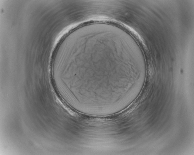 X0000085301327200704092248