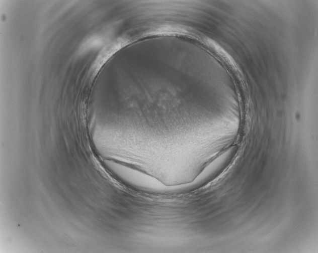 X0000085301329200704092248