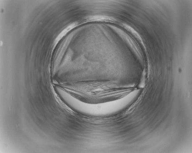 X0000085301330200704092248