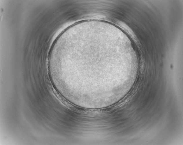 X0000085301332200704092248