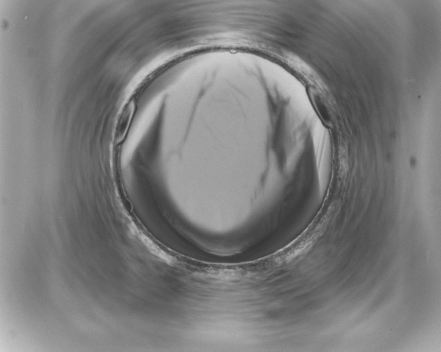 X0000085301334200704092248
