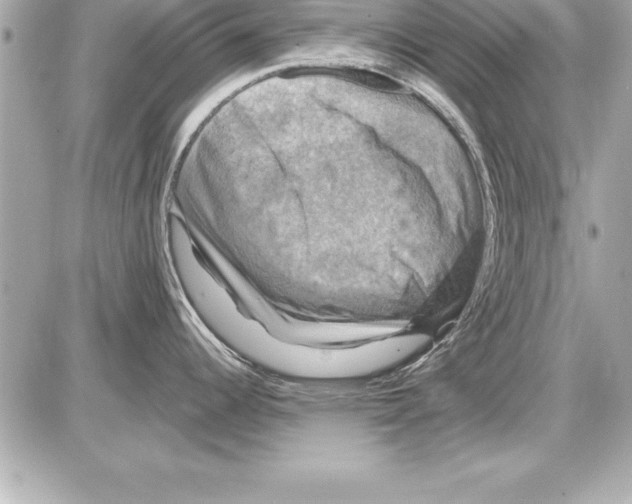 X0000085301344200704092248