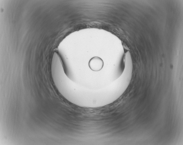 X0000085301345200704092247