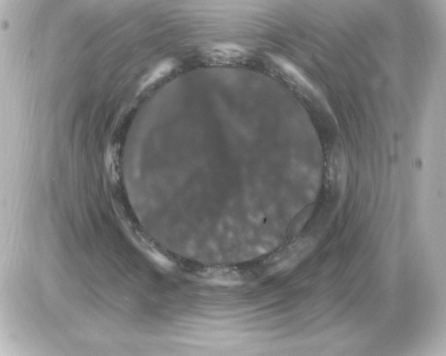 X0000085301346200704092247