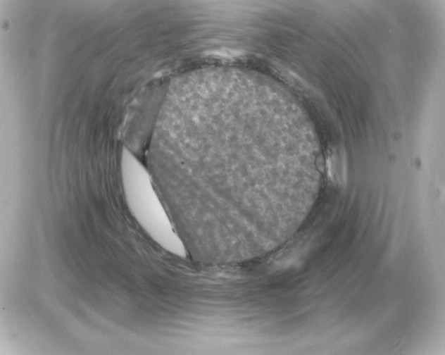 X0000085301347200704092247