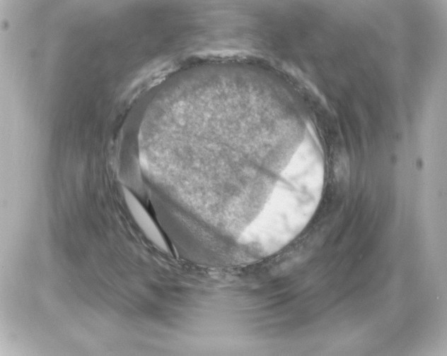 X0000085301350200704092247