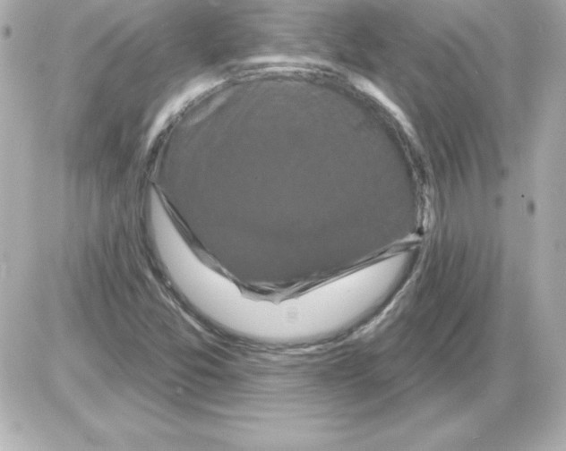 X0000085301357200704092247