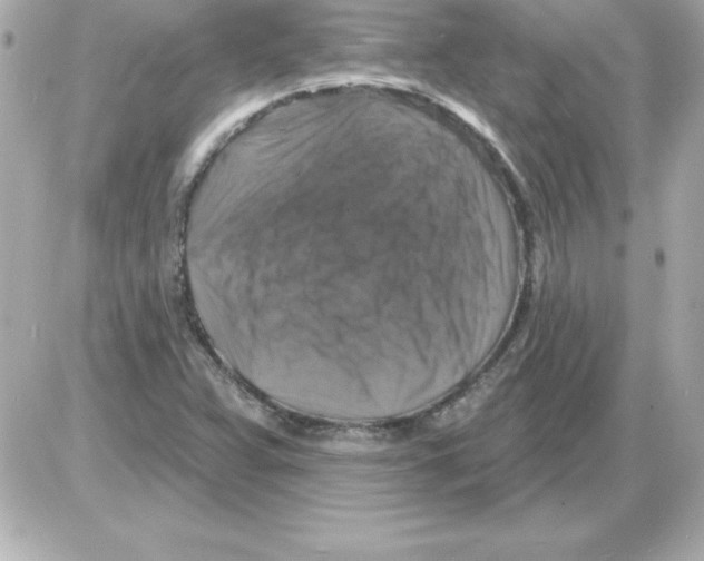X0000085301359200704092247