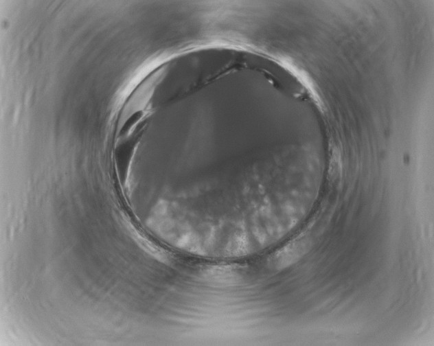 X0000085301367200704092247
