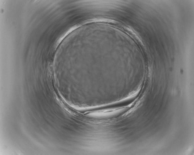 X0000085301369200704092247