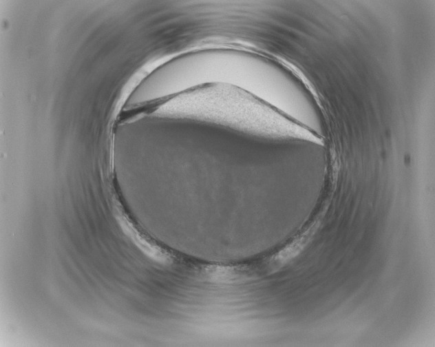X0000085301371200704092247