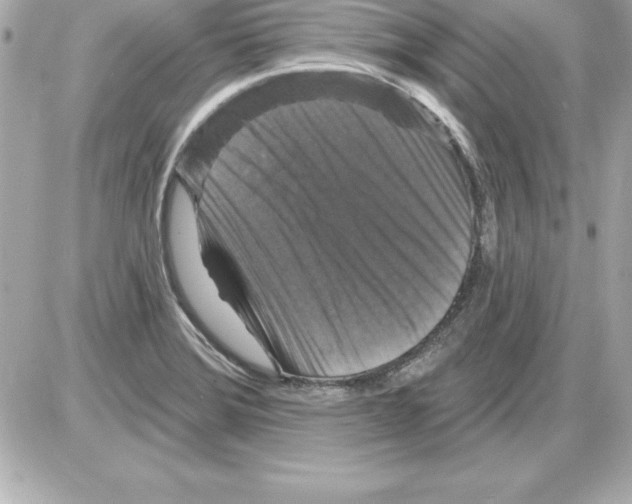 X0000085301372200704092247