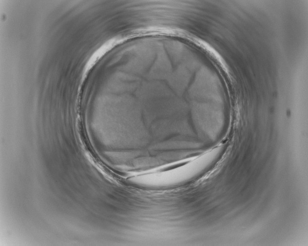 X0000085301373200704092247
