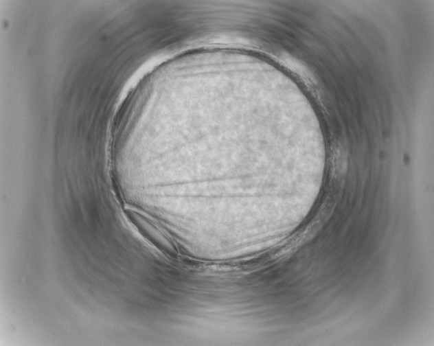 X0000085301374200704092247