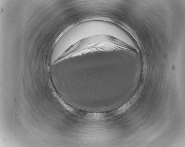 X0000085301377200704092247