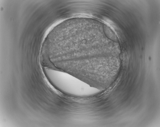 X0000085301379200704092247