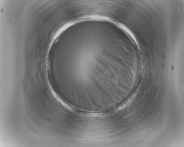 X0000085301381200704092247
