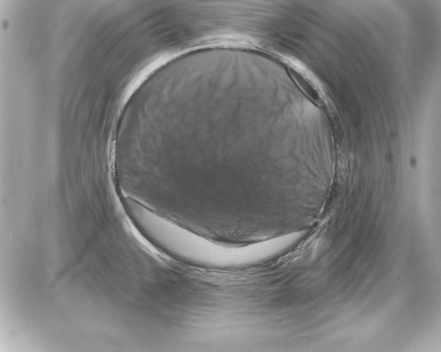 X0000085301383200704092246