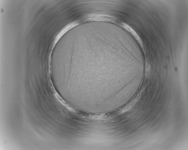 X0000085301386200704092246