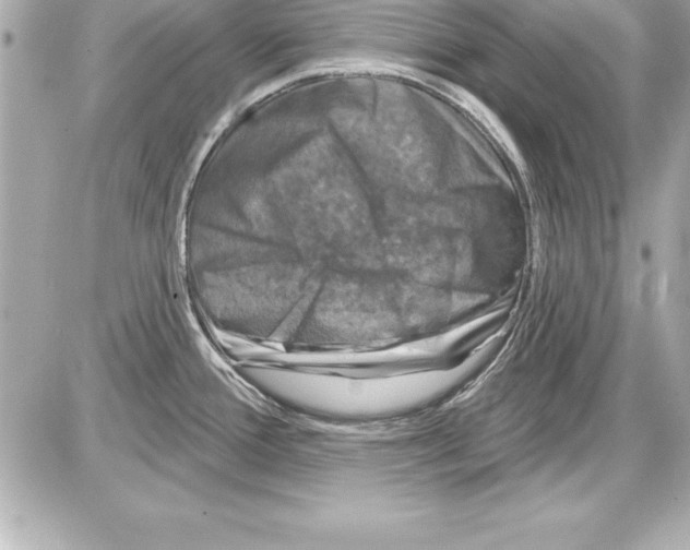 X0000085301388200704092246