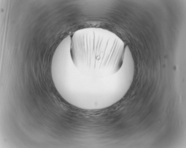 X0000085301394200704092246