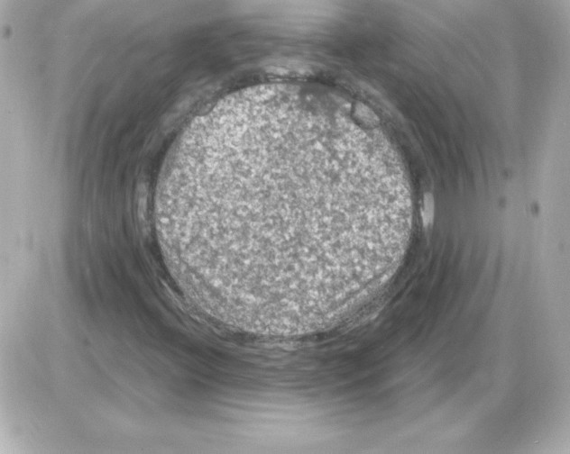 X0000085301396200704092246