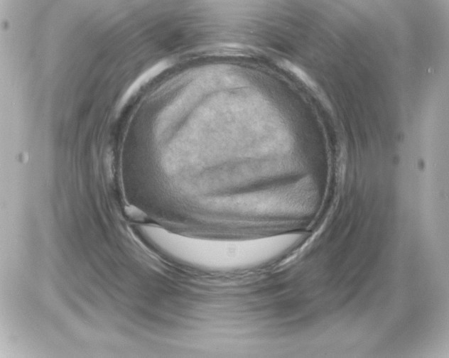 X0000085301402200704092246