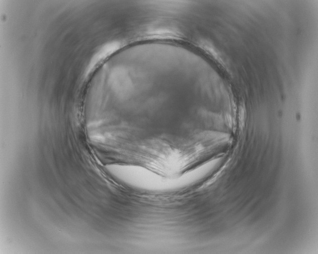 X0000085301405200704092246