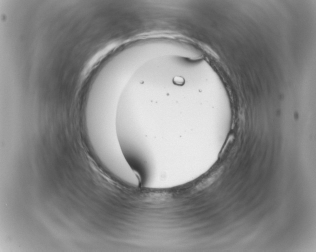 X0000085301406200704092246