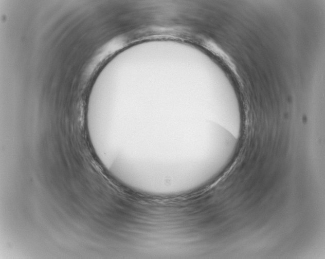 X0000085301411200704092246
