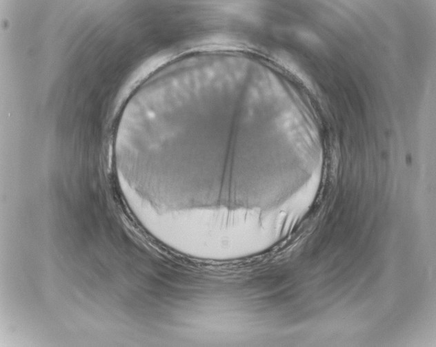 X0000085301413200704092246