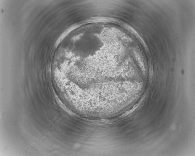 X0000085301417200704092246