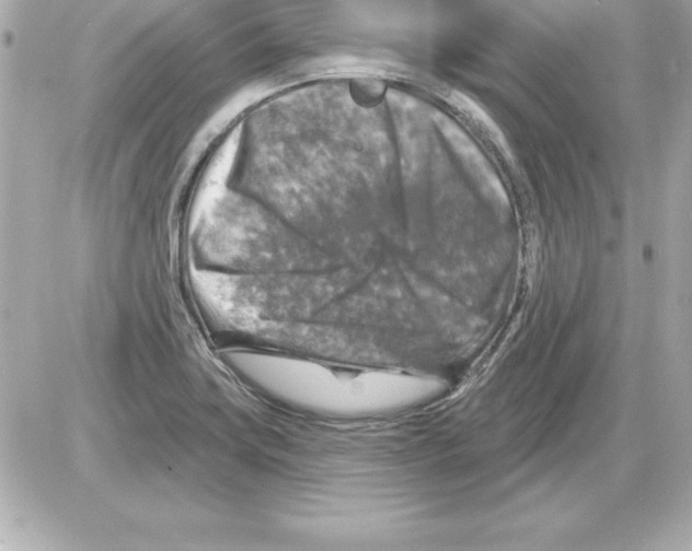 X0000085301419200704092246