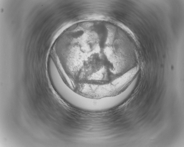 X0000085301423200704092246