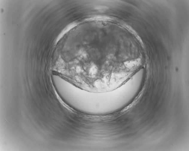 X0000085301425200704092246