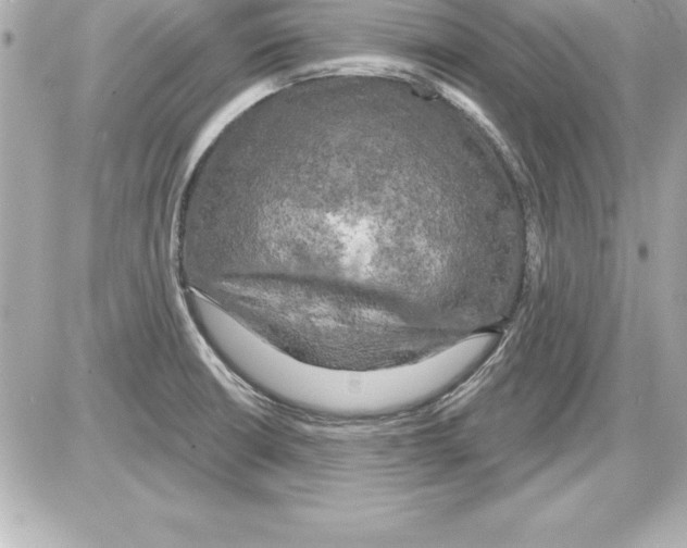 X0000085301426200704092246