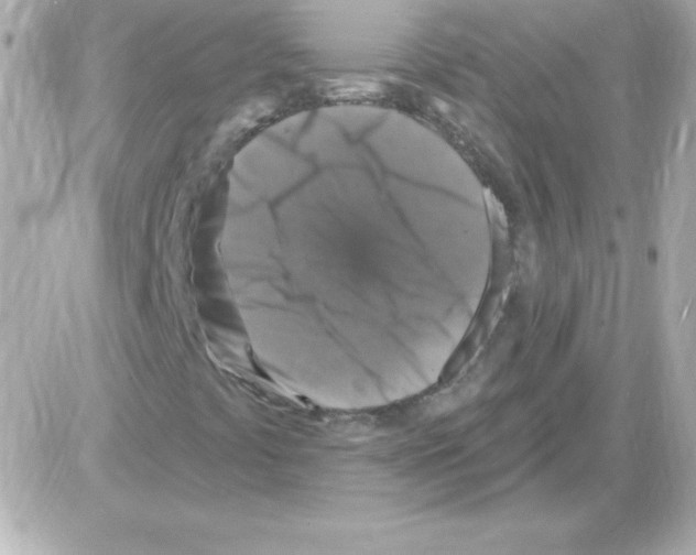X0000085301441200704092246
