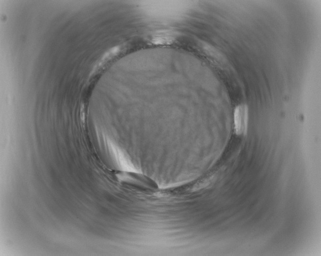 X0000085301443200704092246