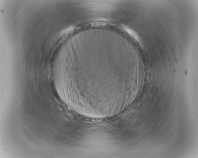 X0000085301445200704092245