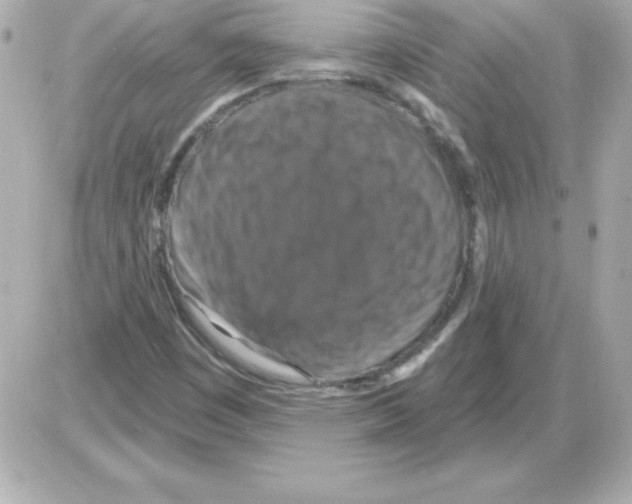 X0000085301449200704092245