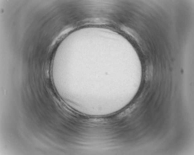 X0000085301451200704092245