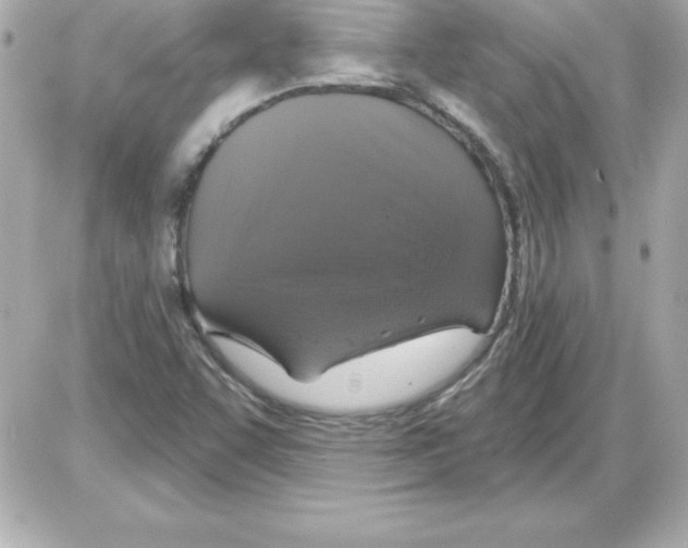 X0000085301455200704092245