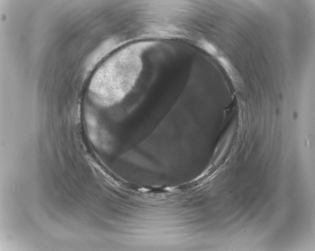 X0000085301459200704092245