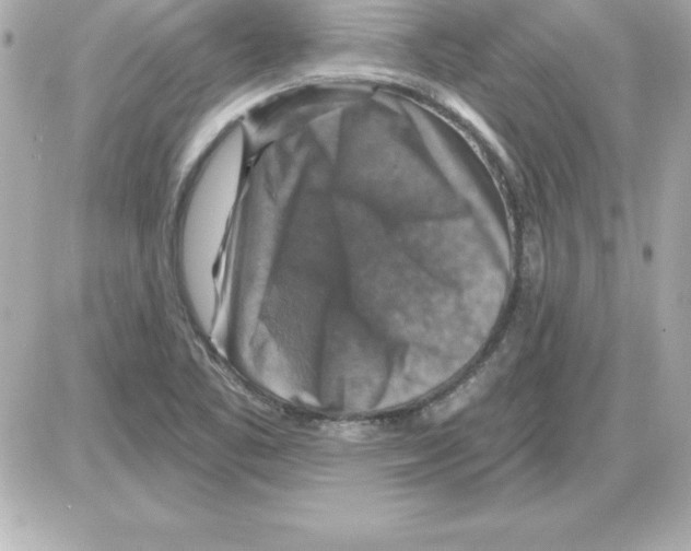 X0000085301461200704092245