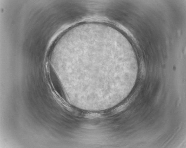 X0000085301462200704092245