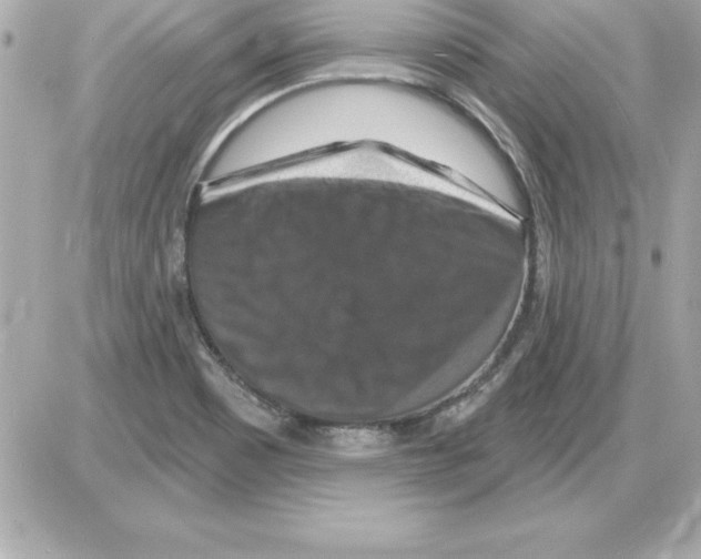 X0000085301465200704092245