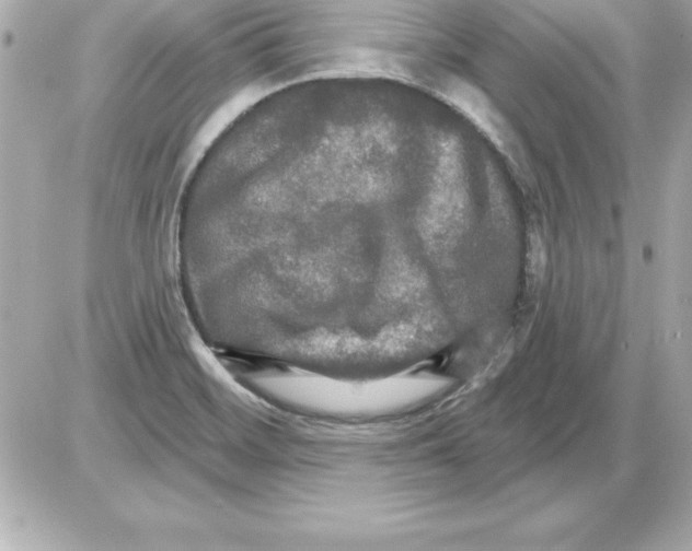 X0000085301468200704092245